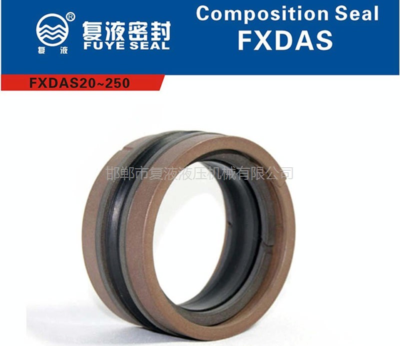 FXDAS孔用組合封